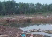 Penimbunan Sungai dan Bakau di Melcem Tanjung Sengkuang Diduga Sebabkan Banjir, Warga Resah