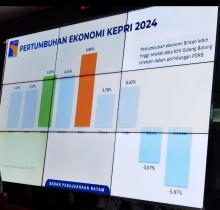 HKI: Batam Punya Potensi Ekonomi Tinggi, Perlu Sinergi Semua Pihak
