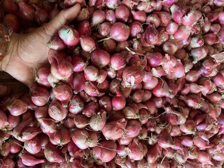 Harga Bawang Merah, Cabe, dan Ikan Tongkol di Tanjungpinang: Selisih hingga Rp15 Ribu
