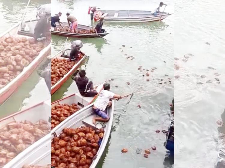 Kapal KM Senang Hati 68 Karam di Batam, 60 Ton Kelapa Dijarah Warga