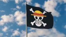 Kapolresta Barelang Imbau Warga Tak Kibarkan Bendera One Piece, Siapkan Tindakan Jika Melanggar!