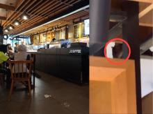 Tikus Besar Berkeliaran di J.CO BCS Mall Batam, Pengunjung Histeris – Manajemen Bungkam!