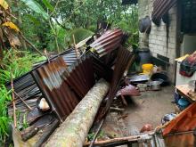 Cuaca Ekstrem di Karimun, Dua Rumah Dihantam Pohon Tumbang