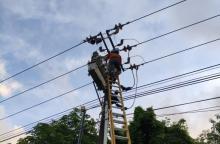 PLN Batam Ungkap Penyebab Listrik Padam di Seibeduk: Layang-Layang dan Pohon Tumbang