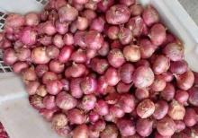 Harga Cabe Merah, Bawang Putih, dan Ikan Selar di Tanjungpinang Alami Kenaikan