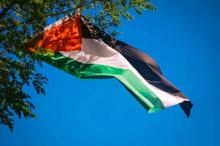 PBB Adopsi Deklarasi New York soal Palestina, Sejumlah Negara Barat Mulai Nyatakan Dukungan