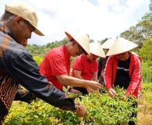 PDIP Kepri Turun ke Ladang, Dengar Keluhan Petani Sidomulyo Soal Lahan