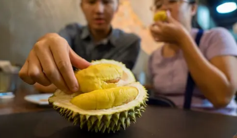 Sebanyak 10 Ton Durian Ilegal Masuk Via Batam Setiap Hari