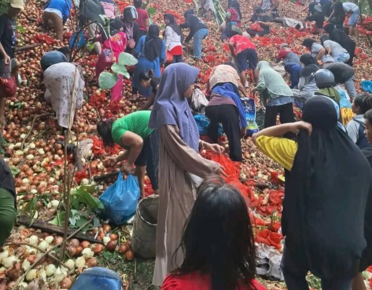 Ribuan Karung Bawang Bombay Dibuang Misterius di Batuampar, Dinkes Batam Ingatkan Warga Tak Konsumsi Berlebihan