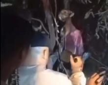 Siswanto (47) Ditemukan Tewas Tergantung di Pohon, Sempat Hilang Sebulan