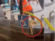 Bukan Penumpang Biasa: Ular Sanca Terlihat Meliuk di Kaca Depan Bus 901M