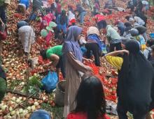 Ribuan Karung Bawang Bombay Dibuang Misterius di Batuampar, Dinkes Batam Ingatkan Warga Tak Konsumsi Berlebihan