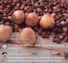 Viral Bawang Dibuang di Melcem Batam, Warga Berebut dan Jual Online Rp 5 Ribu/kg