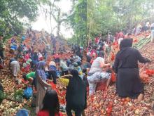 Bawang Impor China Bertunas Dibuang Perusahaan di Batuampar, Ini Kata Polisi
