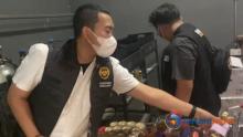 Bea Cukai dan Imigrasi Batam Bongkar Dugaan Pelanggaran di Panda Club