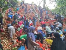 PT BSS Klarifikasi soal Video Pembuangan Bawang di Melcem: Bukan Ilegal, Tapi Proses Pemusnahan Produk Rusak
