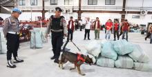 Polda Kepri Kerahkan Lima Anjing Pelacak Razia Gudang Ekspedisi di Batam, Pastikan Jalur Narkoba Tertutup