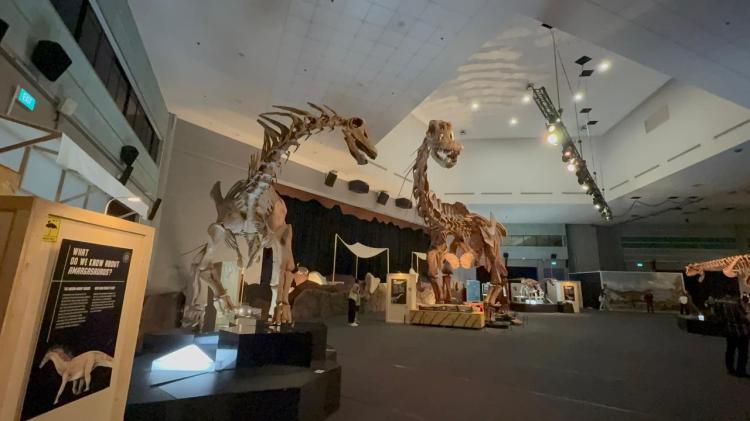 Petualangan Prasejarah Terbesar di Singapura Dibuka: “DINOSAURS | EXTINCTIONS | US” Hadirkan 400 Juta Tahun Sejarah Bumi