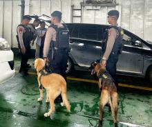 Amankan Mudik Nataru, Anjing Pelacak Polisi Periksa Kapal di Pelabuhan Telaga Punggur