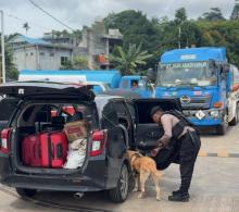 Cegah Penyelundupan dan Gangguan Keamanan, Satgas Gakkum Ops Lilin K9 Patroli Ketat Pelabuhan Punggur