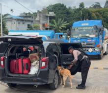 Amankan Arus Mudik Nataru, Satgas Gakkum dan Unit K9 Polda Kepri Perketat Pemeriksaan di Pelabuhan Punggur