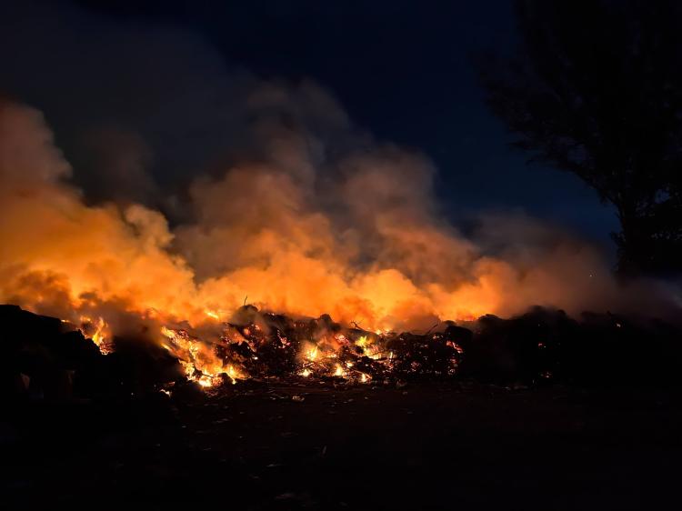 Kebakaran Lahan Kosong di Taman Duta Mas Batam, Diduga dari Tumpukan Sampah
