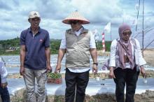 Produksi Cabai Kepri Baru Penuhi 37%, Waguk Resmikan Penanaman Perdana di Batam