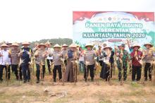 Polda Kepri Gelar Panen Raya Jagung Serentak Dukung Swasembada Pangan 2026