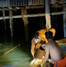 Nelayan di Tembeling Bintan Tewas Diterkam Buaya Saat Melaut