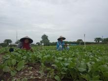 Warga Ruli Kebun Sayur Sungai Binti Demo ke BP Batam