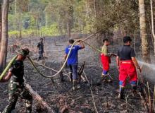 Sigap! Damkar, BPBD, TNI, dan Polri Lingga Berhasil Amankan Bukit Baigon dari Amukan Api