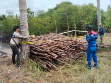 Satpolairud Gagalkan Pengiriman Ribuan Kayu Bakau Ilegal di Lingga