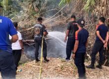 Gercep! Damkar Lingga Taklukkan Kebakaran Lahan di Kampung Sepincan dalam 5 Menit