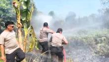 Kebakaran Lahan 20 Hektar di Rempang Cate, Polisi Selidiki Ada Unsur Kesengajaan atau Tidak
