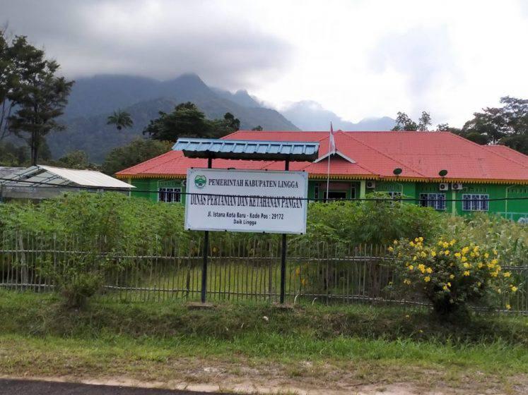 Duh, Kabid Pertanian di DPKP Lingga Diduga Hampir 6 Bulan Tak Ngantor