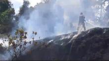Belum 24 Jam Dipadamkan, Hutan Punggur Batam Kembali Terbakar, Diduga Sengaja Dibakar