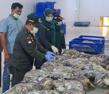 Ratusan Ton Hasil Laut Natuna Dikirim ke Jakarta, Perikanan Kembali Bergeliat