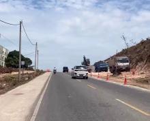 Pohon di Sei Ladi-Madani Ditebang? Ternyata Ini Proyek Besar BP Batam