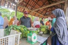 Isu Penggusuran Petani Gerai Pangan Hang Lekir Dibantah, Aktivitas Jual Beli Dipastikan Normal