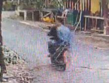 Waspada! Aksi Pencurian Anjing dengan Modus Racun Terekam CCTV di Tanjung Riau, Pelaku Gunakan Wearpack