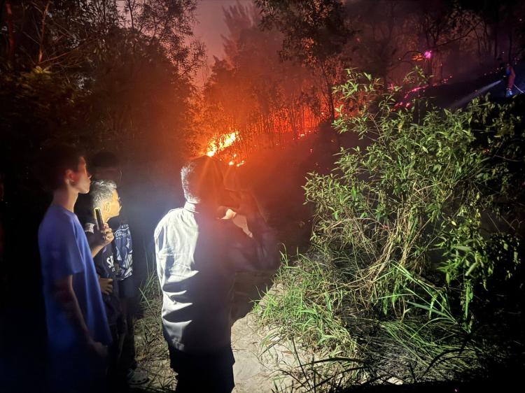 Kebakaran Hutan Sekupang Batam Malam Takbiran, 4 Unit Damkar Dikerahkan