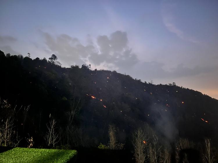 Breaking News: Bara Api Kembali Menyala, Kebakaran TPA Tanjung Riau Sekupang Belum Usai