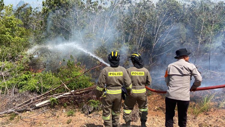 Api Melahap 4 Hektare di Pantai Nirwana, Polda Kepri dan Polresta Barelang Gerak Cepat Padamkan