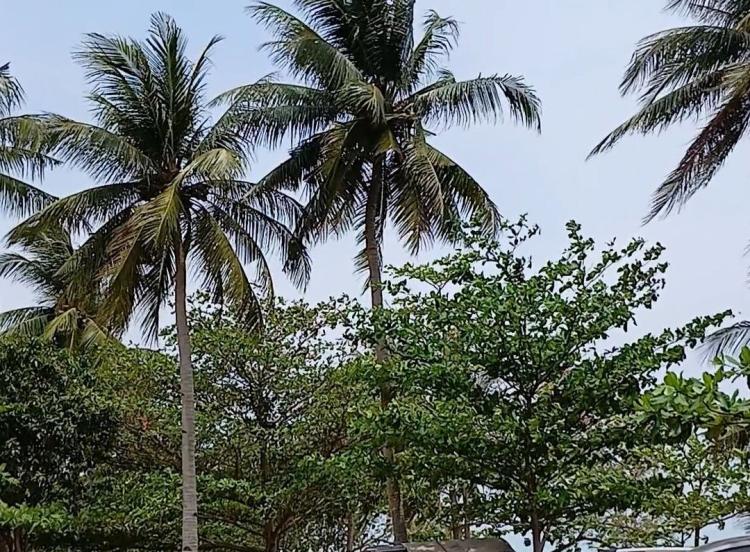 BMKG: Setelah Cuaca Terik, Batam Berpotensi Hujan Ringan Hari Ini Minggu 29 Maret 2026