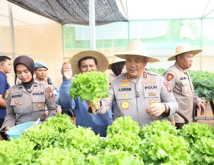 Polda Kepri Panen Sayur Hidroponik Perdana untuk Dukung Makan Bergizi Gratis