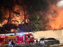 Breaking News: Hutan di Atas Terowongan Pelita Batam Terbakar Hebat