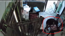 Terekam CCTV: Pencuri Gasak 40 Kg Bawang di Batam Centre