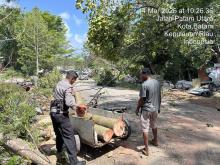 Pohon Tumbang Timpa Rumah Warga di Tiban, Polisi dan Warga Gotong Royong Evakuasi