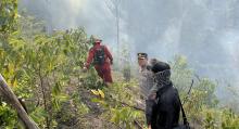 Polisi Selidiki Penyebab Kebakaran TPS Tanjung Riau Sekupang, Api Masih Berkobar Hingga Sore