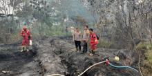 Kebakaran Hutan Lindung Sei Temiang Batam, 2 Hektare Lahan Hangus